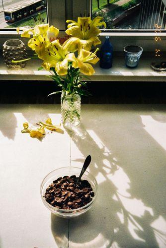 small_000026.jpg
